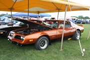 FIREBIRD